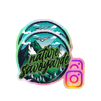 Pack 2 stickers supporter