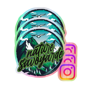 Pack 3 stickers supporter